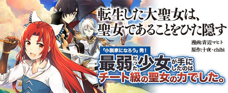 転生した大聖女は、聖女であることをひた隠す