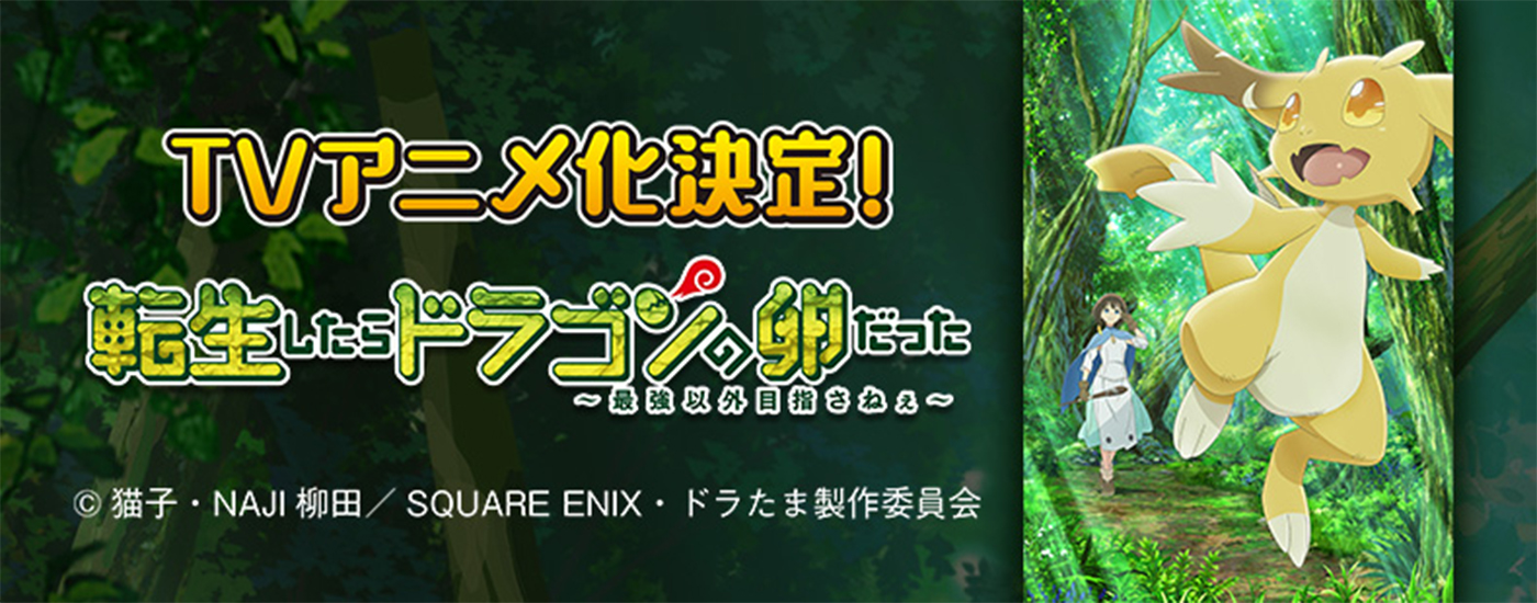 TVアニメ化決定!転生したらドラゴンの卵だった