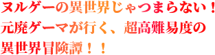 ヌルゲーの異世界じゃつまらない！元廃ゲーマが行く、超高難易度の異世界冒険譚！！